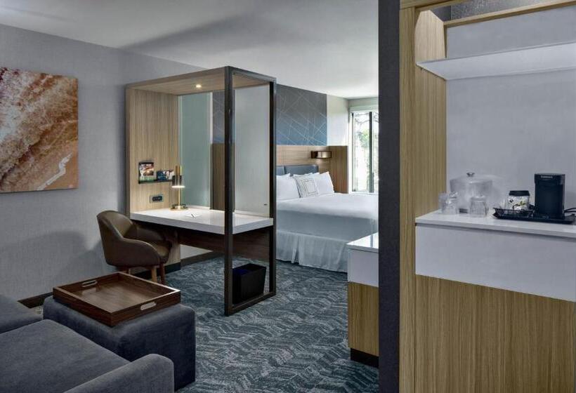 Люкс Кровать Кинг, Springhill Suites Hilton Head Island