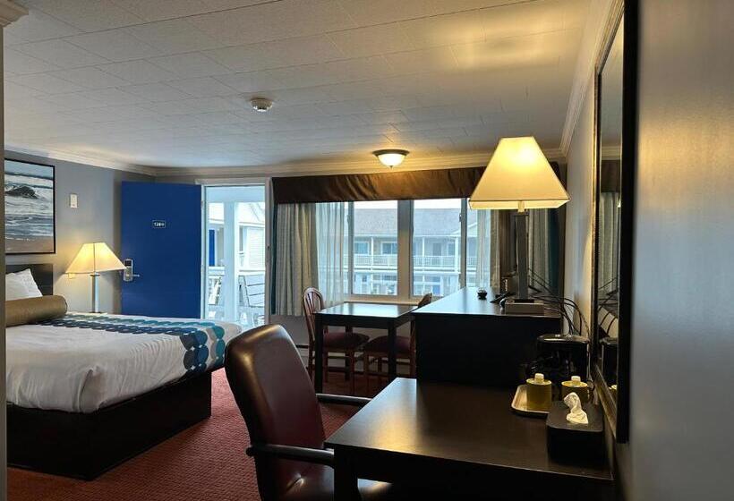 اتاق استاندارد, Rodeway Inn Orleans  Cape Cod