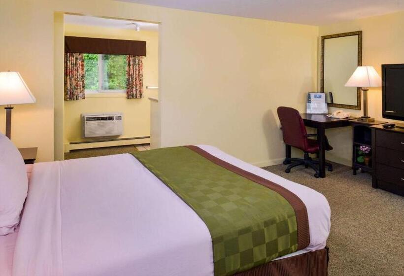 اتاق استاندارد, Rodeway Inn Orleans  Cape Cod