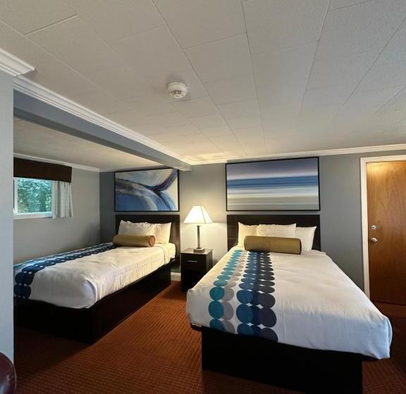 اتاق استاندارد با 2 تخت دوبل, Rodeway Inn Orleans  Cape Cod