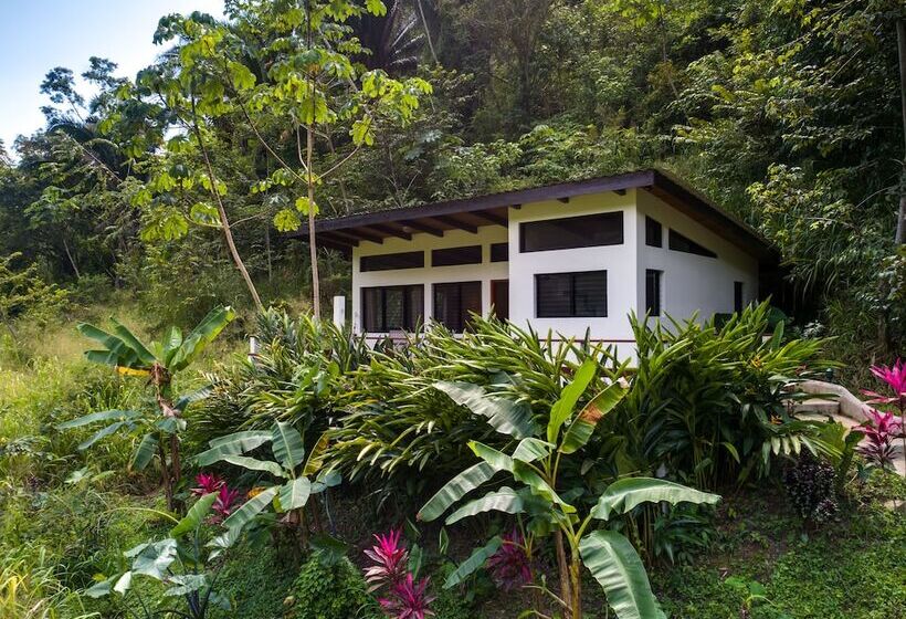 اتاق استاندارد, Black Rock Lodge