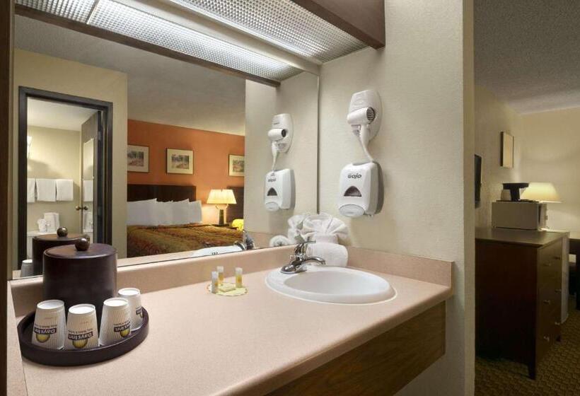장애인을 위한 킹사이즈 침대 스탠다드 룸, Days Inn & Suites By Wyndham Stevens Point