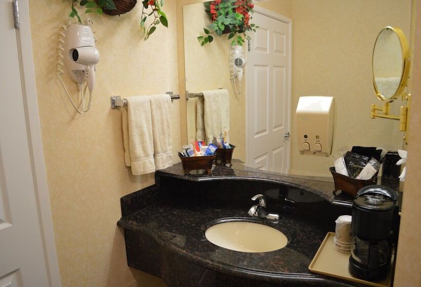 Номер Deluxe, Dynasty Suites Redlands