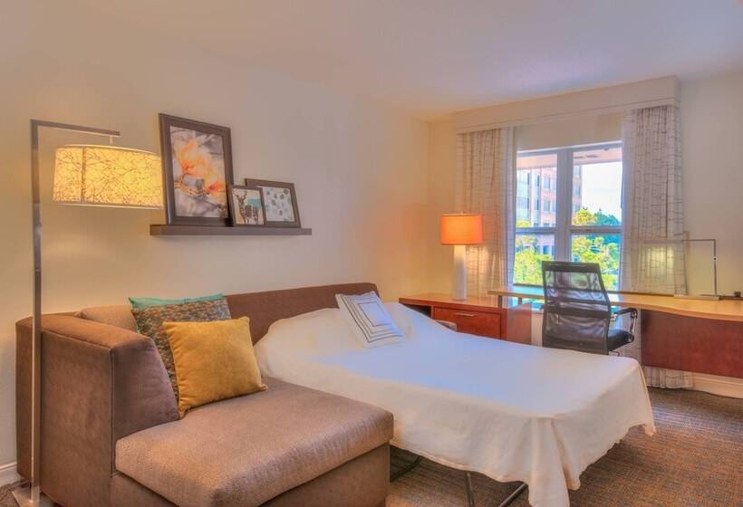 Suíte para Deficientes Físicos, Residence Inn Atlanta Buckhead/lenox Park