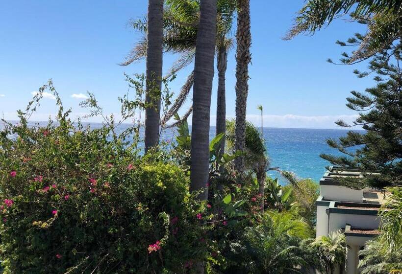 클래식 스위트, Laguna Cove