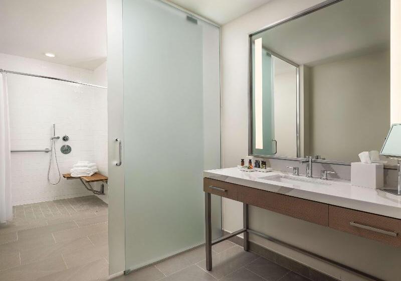 اتاق استاندارد برای معلولان, Canopy By Hilton Dallas Frisco Station, Tx