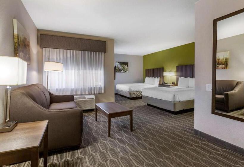 חדר סטנדרט שתי מיטות זוגיות, Best Western North Phoenix