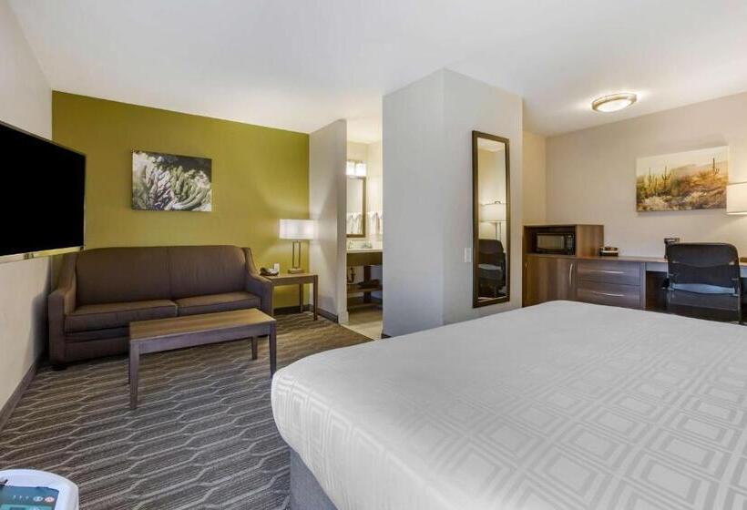 חדר סטנדרט עם מיטת קינג, Best Western North Phoenix