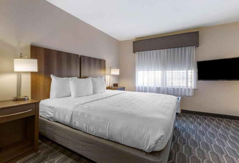 اتاق استاندارد با تخت بزرگ, Best Western North Phoenix