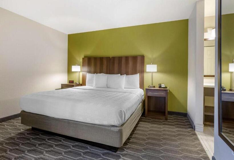 اتاق استاندارد با تخت بزرگ, Best Western North Phoenix