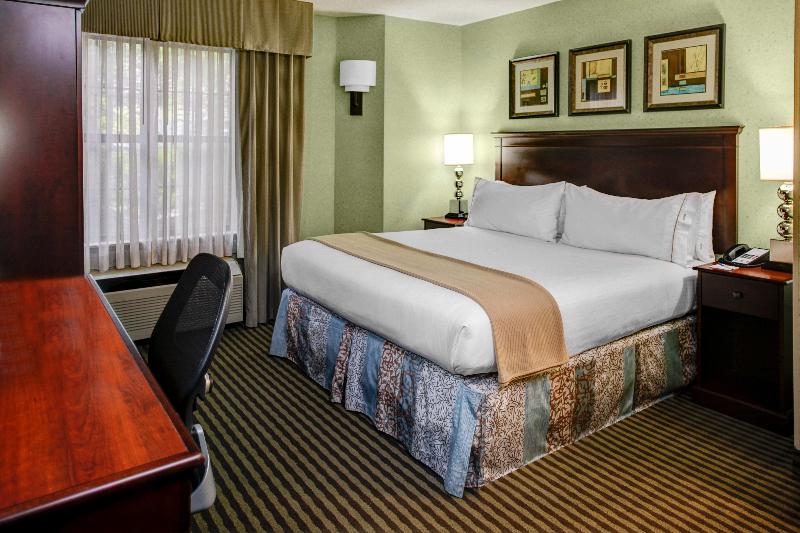 Quarto Estandar Cama King, Holiday Inn Express Hotel & Suites Atlanta Buckhead, An Ihg