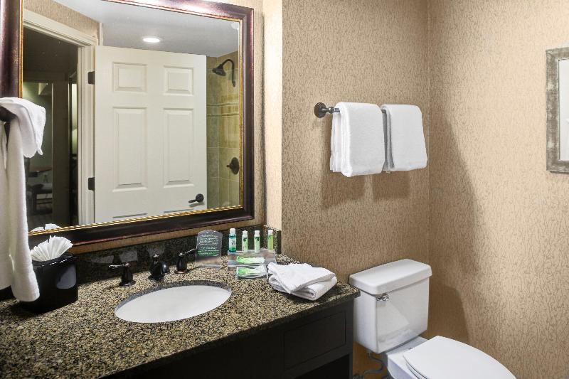 Suíte Cama King, Holiday Inn Express Hotel & Suites Atlanta Buckhead, An Ihg
