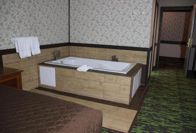 Номер Deluxe Одноместный, Spring House Inn