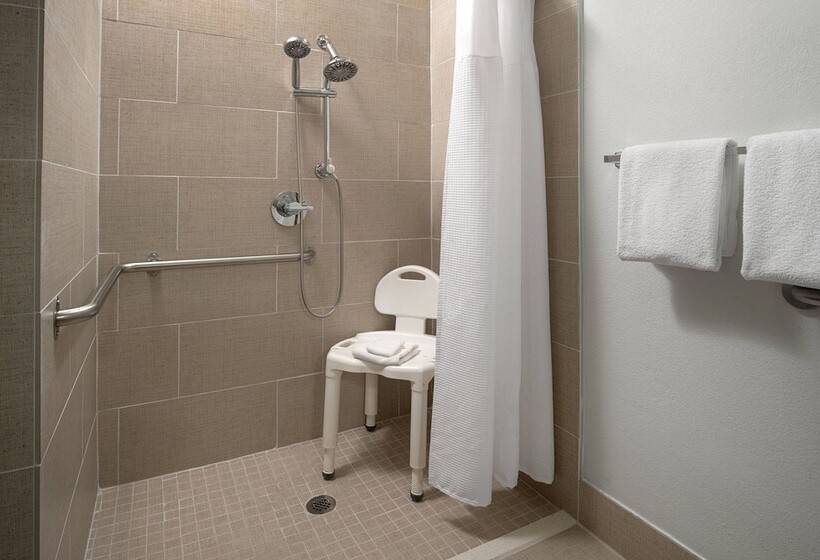 Suite, Springhill Suites Dallas Arlington North