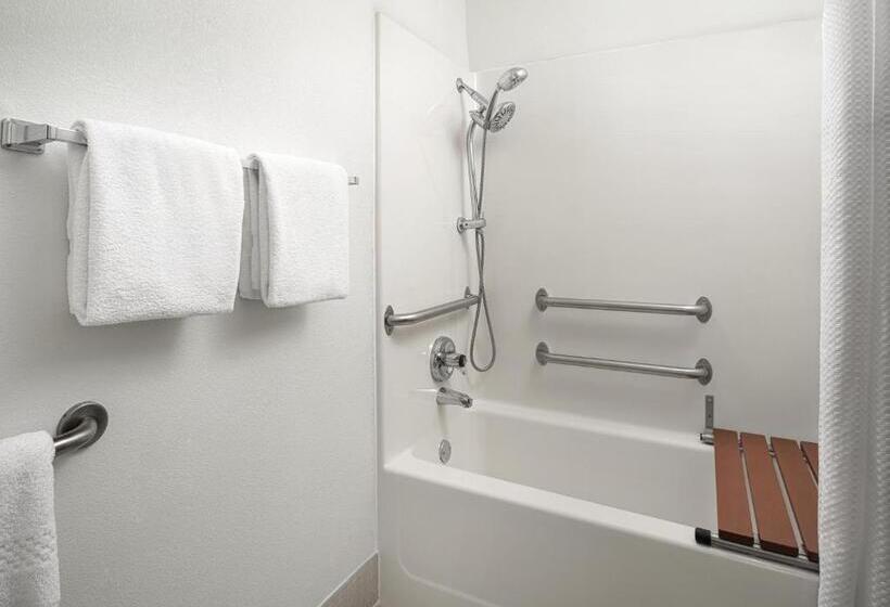 Suite, Springhill Suites Dallas Arlington North