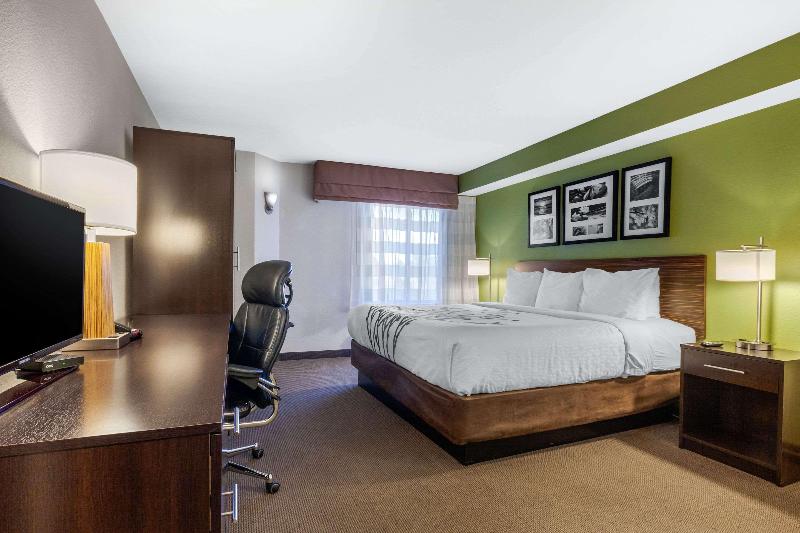 스탠다드 룸 킹사이즈 침대, Surestay Plus By Best Western Mesa Superstition Springs