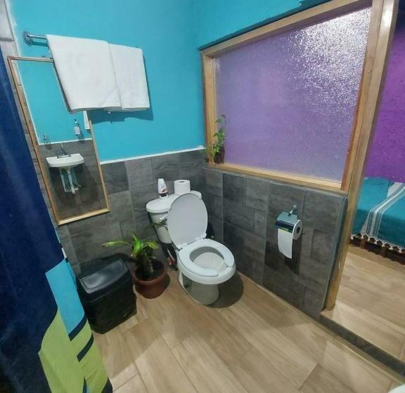 اتاق استاندارد, Hostal El Alebrije