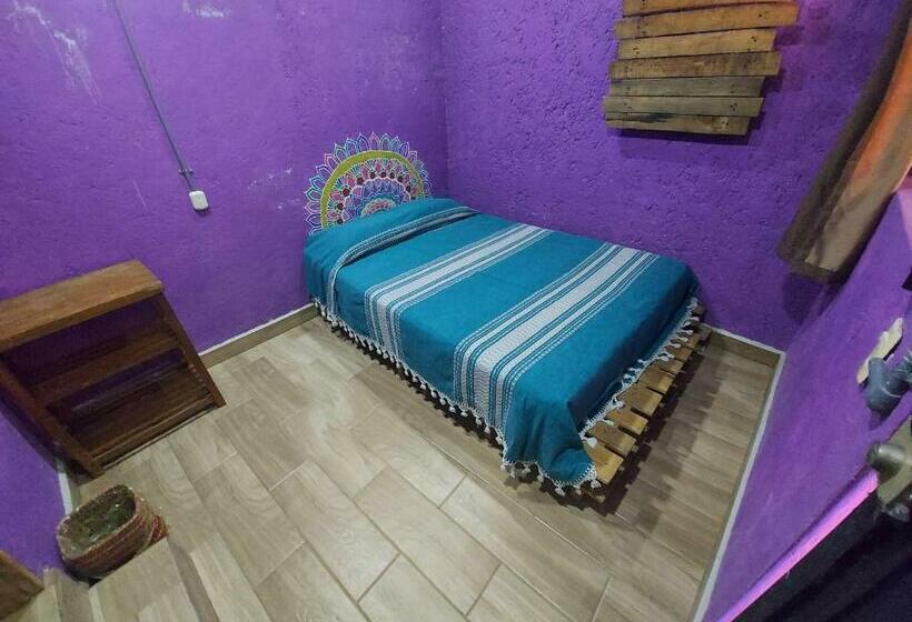 اتاق استاندارد, Hostal El Alebrije