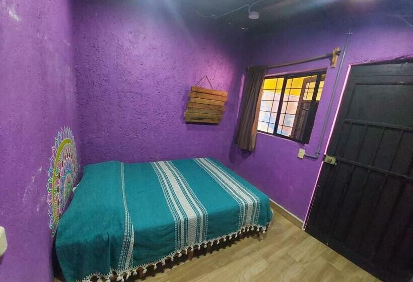 اتاق استاندارد, Hostal El Alebrije