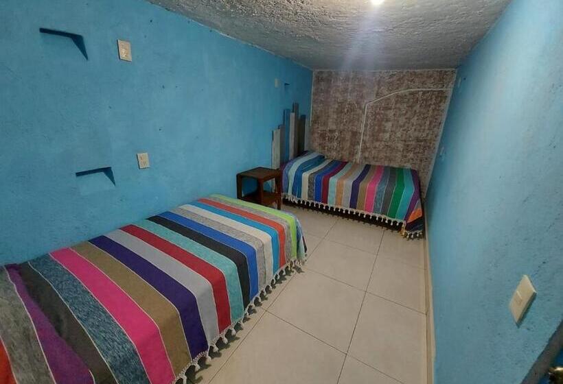 اتاق استاندارد با سرویس بهداشتی مشترک, Hostal El Alebrije