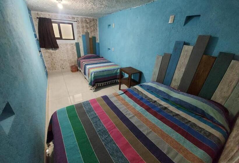 اتاق استاندارد با سرویس بهداشتی مشترک, Hostal El Alebrije