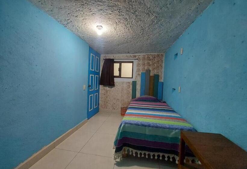 اتاق استاندارد با سرویس بهداشتی مشترک, Hostal El Alebrije
