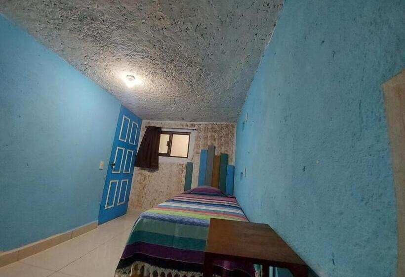 اتاق استاندارد با سرویس بهداشتی مشترک, Hostal El Alebrije