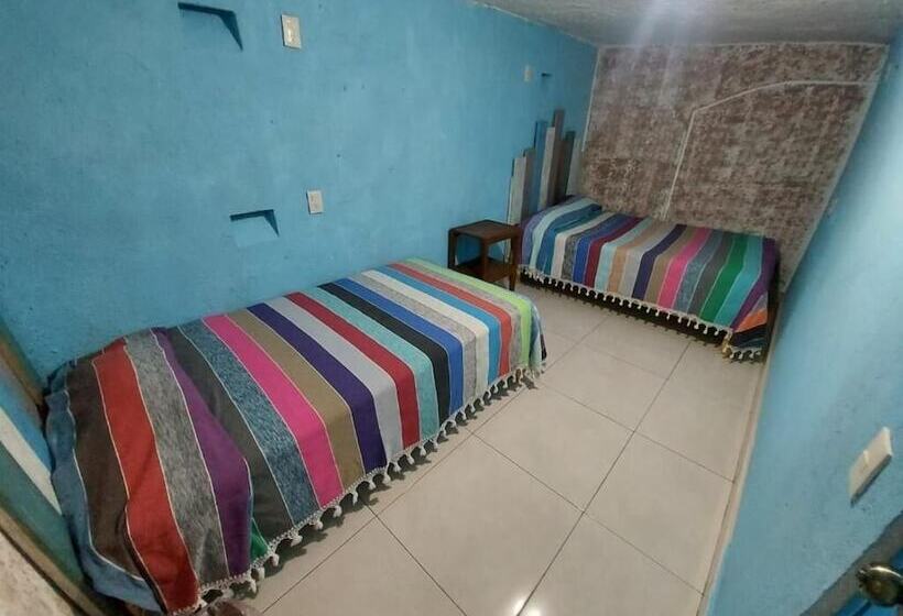 اتاق استاندارد, Hostal El Alebrije