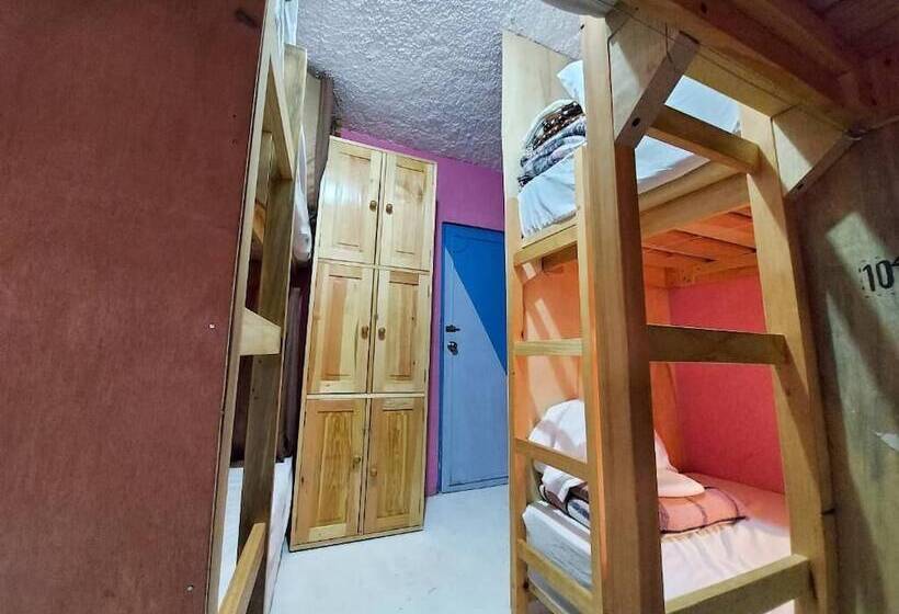 تختخواب در اتاق مشترک, Hostal El Alebrije