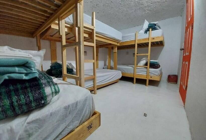 تختخواب در اتاق مشترک, Hostal El Alebrije