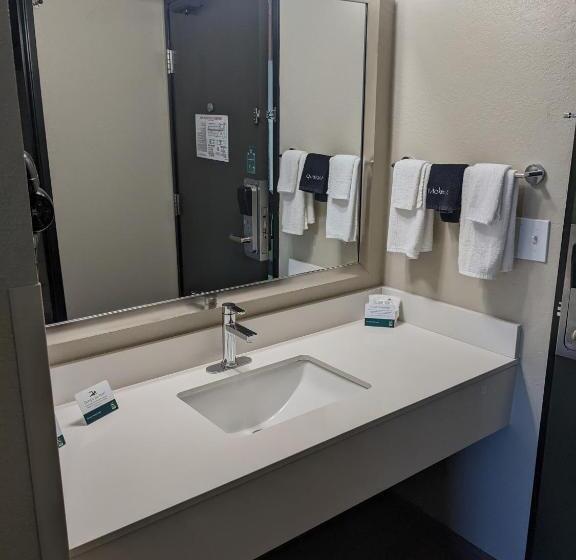 غرفة قياسية سرير كينج, Quality Inn & Suites