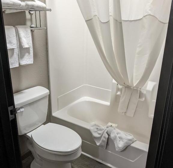 غرفة قياسية سرير كينج, Quality Inn & Suites