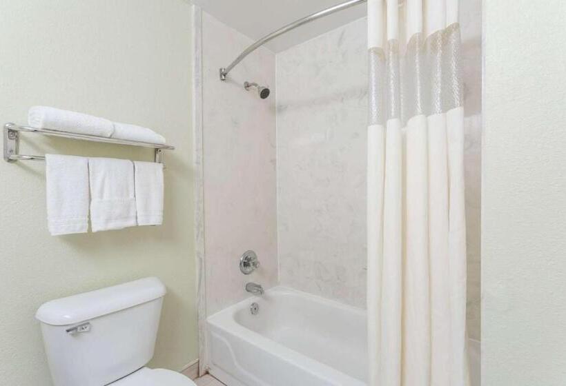 스탠다드 룸 킹사이즈 침대, Super 8 By Wyndham Hull Street Midlothian Richmond Area