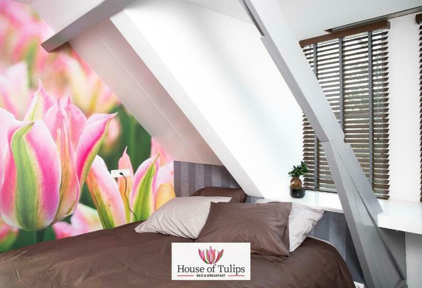 디럭스 룸, House Of Tulips