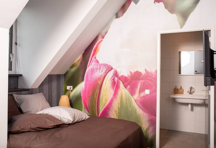디럭스 룸, House Of Tulips