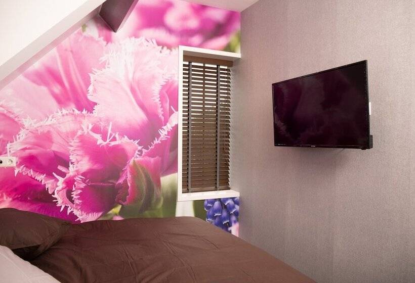 디럭스 룸, House Of Tulips