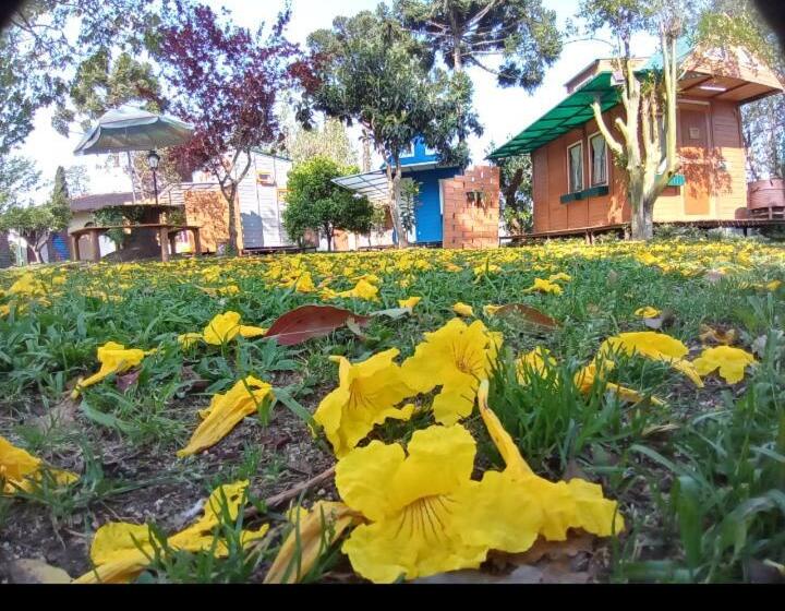 샬레, Mini House Park