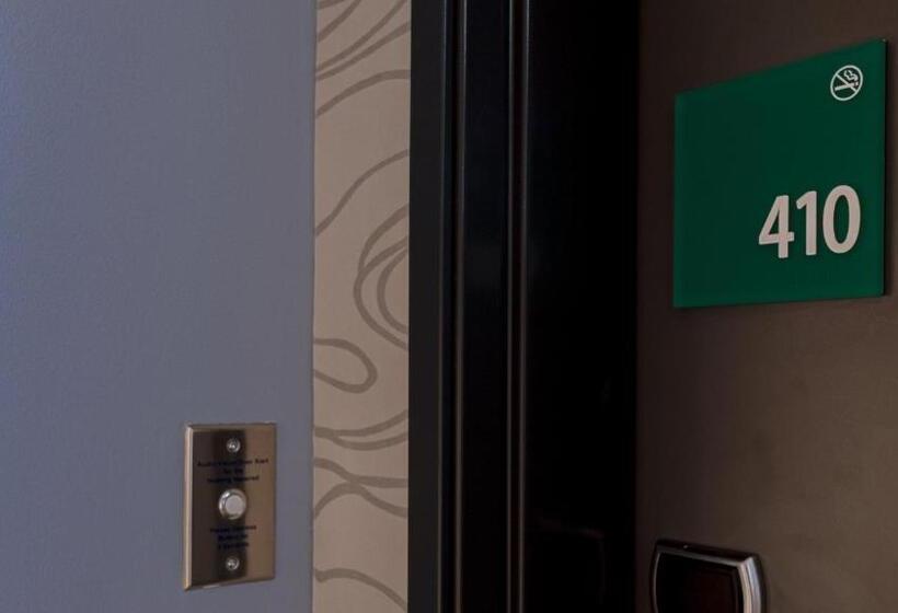 Номер Стандарт Кровать Кинг Адаптированный для Инвалидов, Holiday Inn & Suites Philadelphia W   Drexel Hill, An Ihg
