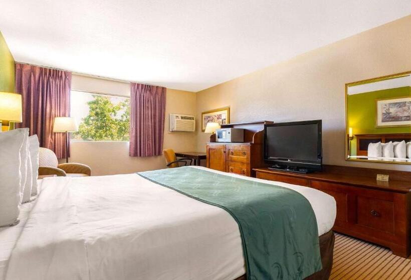 스탠다드 룸 킹사이즈 침대, Rodeway Inn