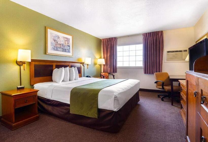 장애인을 위한 킹사이즈 침대 스탠다드 룸, Rodeway Inn