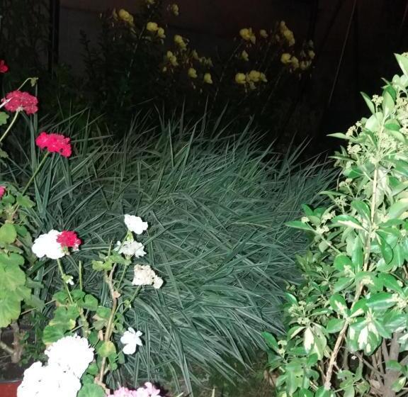 اتاق لوکس, Guest House Ariadna