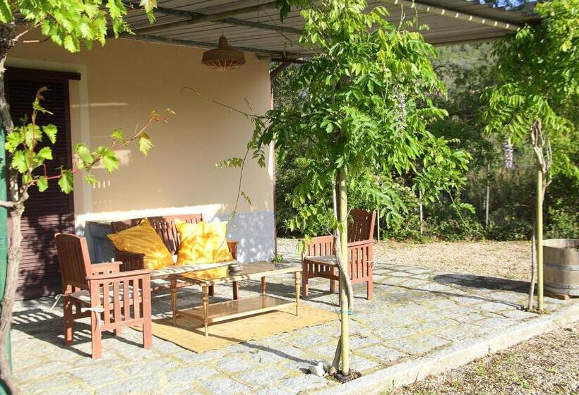 خانه 1 خوابه, Agriturismo Dei Girasoli