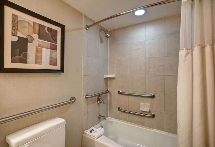 Номер Deluxe Адаптированный для Инвалидов, Doubletree By Hilton Downtown Wilmington   Legal District