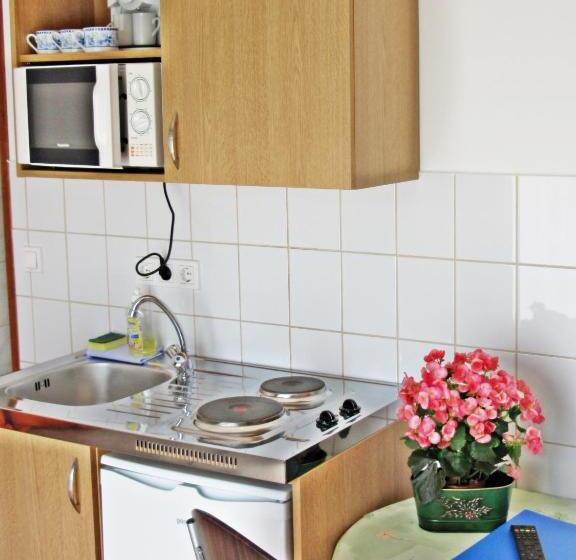 آپارتمان 1 خوابه, Süle Apartments & Rooms