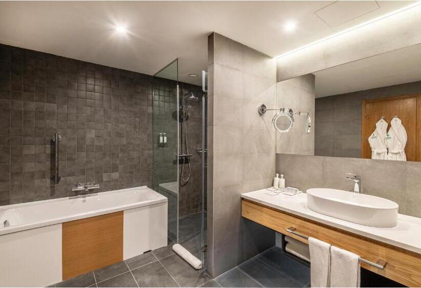 سوئیت با تخت بزرگ, Holiday Inn Yerevan   Republic Square, An Ihg