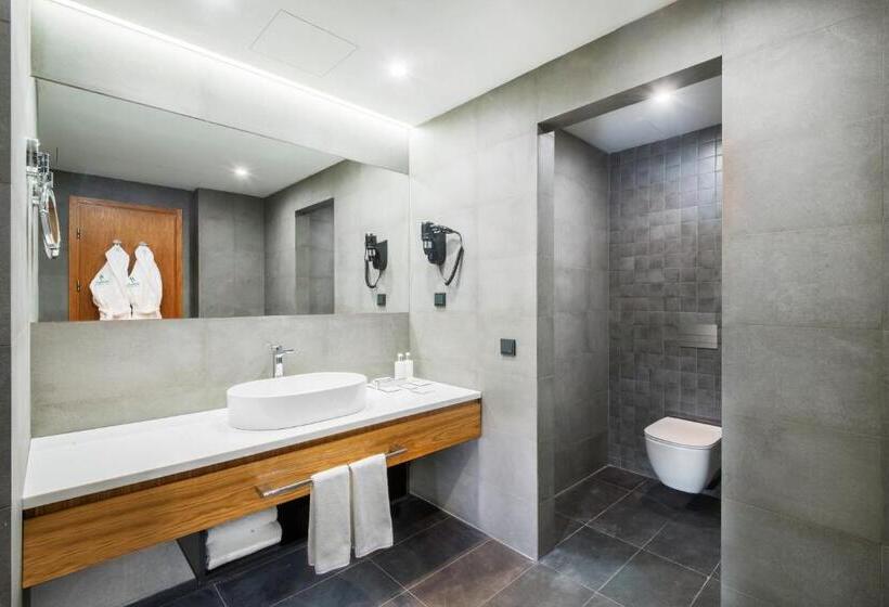 سوئیت با تخت بزرگ, Holiday Inn Yerevan   Republic Square, An Ihg