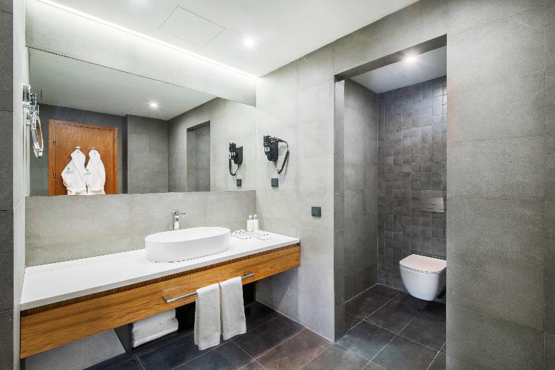 سوئیت با تخت بزرگ, Holiday Inn Yerevan   Republic Square, An Ihg