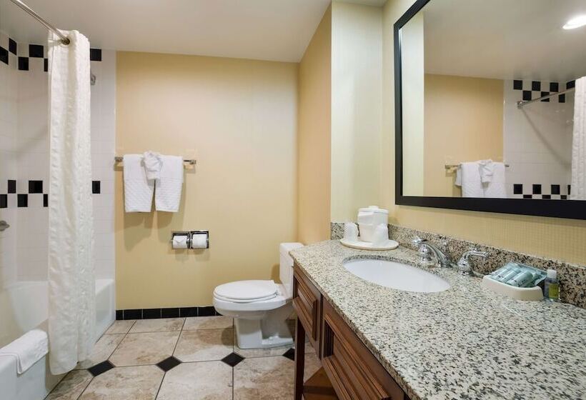 스탠다드 룸 더블 침대, Best Western Grand Victorian Inn
