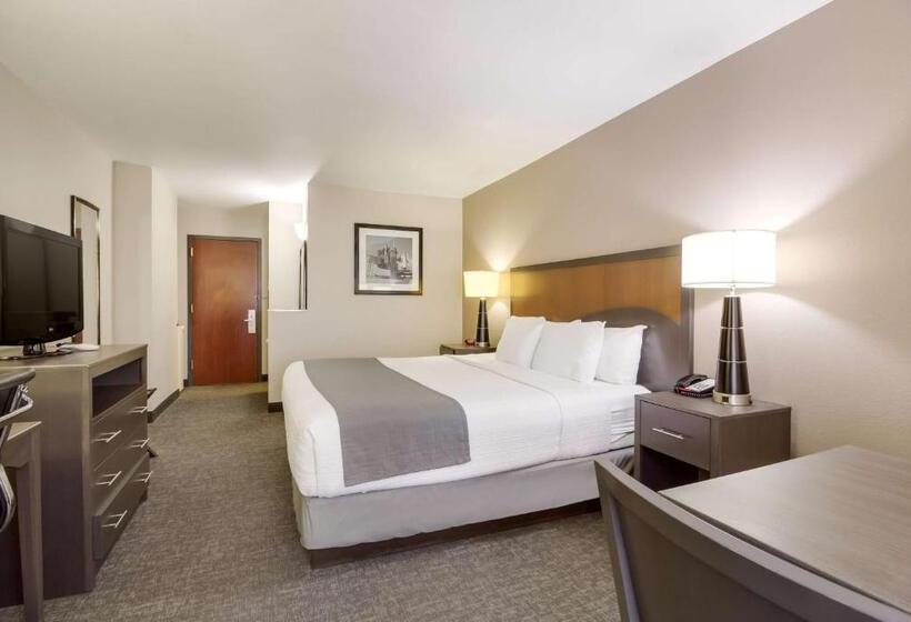 Стандартный Номер Кровать Кинг, Surestay Plus Hotel By Best Western Houston Medical Center
