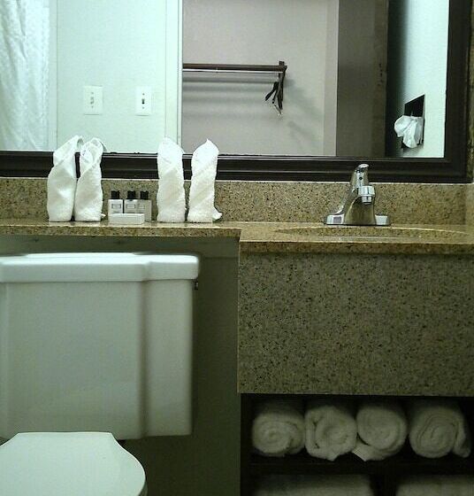 商务房间, Wyndham Garden Detroit Metro Airport
